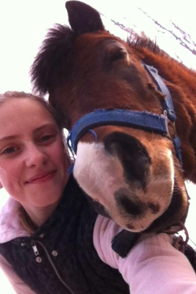 Anden særlig race Elvis - <3 billede 5