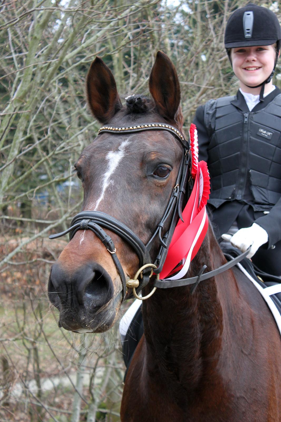 Anden særlig race Stald Birkelys Issebelle - Min søde part Laura til første stævne med Isse, hvor de vandt en LC1 og en springklasse på 70 cm :-) April 2014 Foto: Line Skou (mig) billede 49