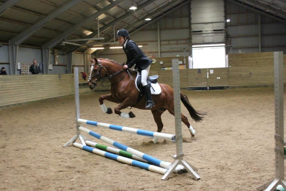 Anden særlig race pony - mig og pony's første stævne billede 8