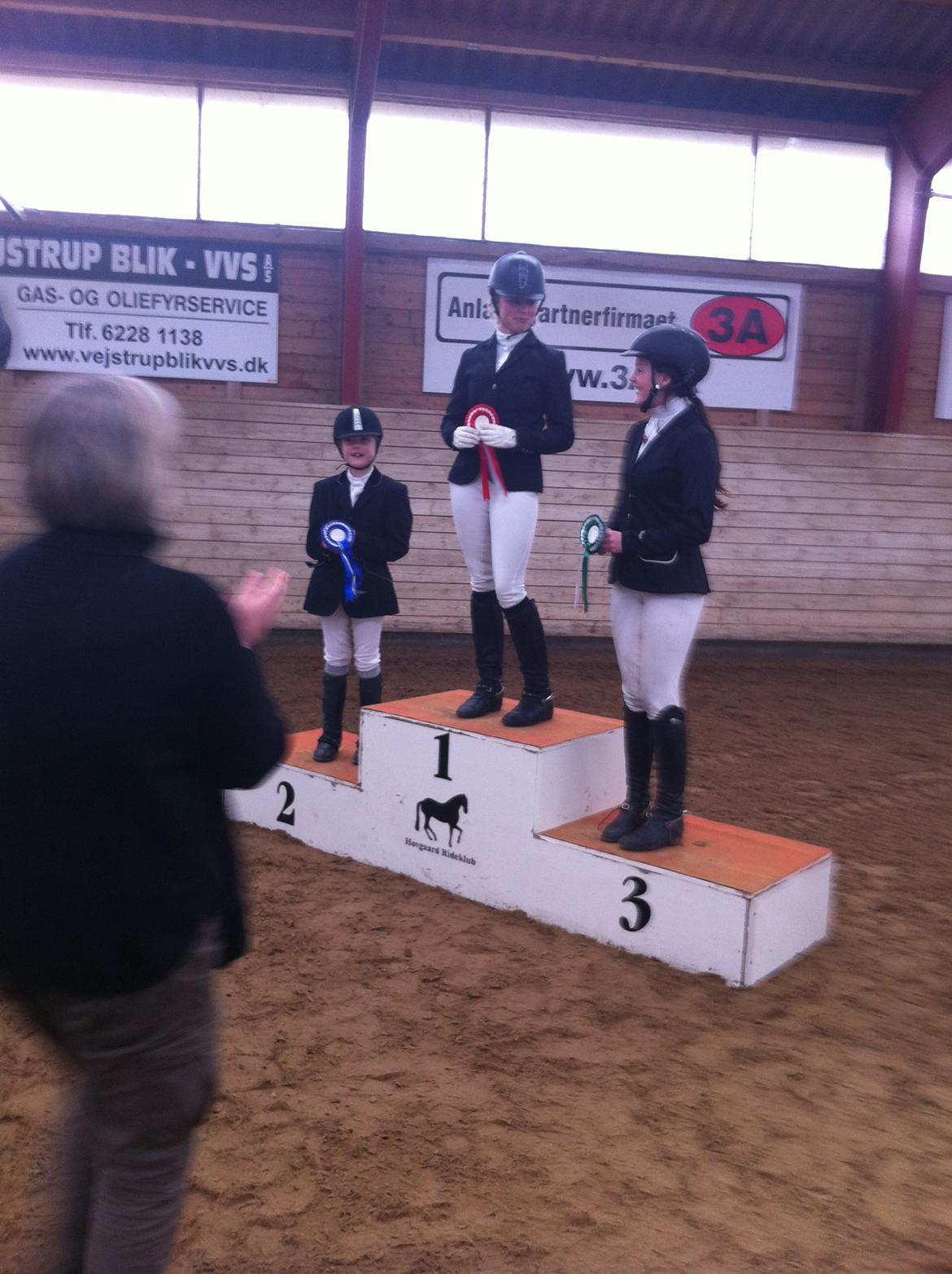 Svensk Sportspony  Ainée billede 10