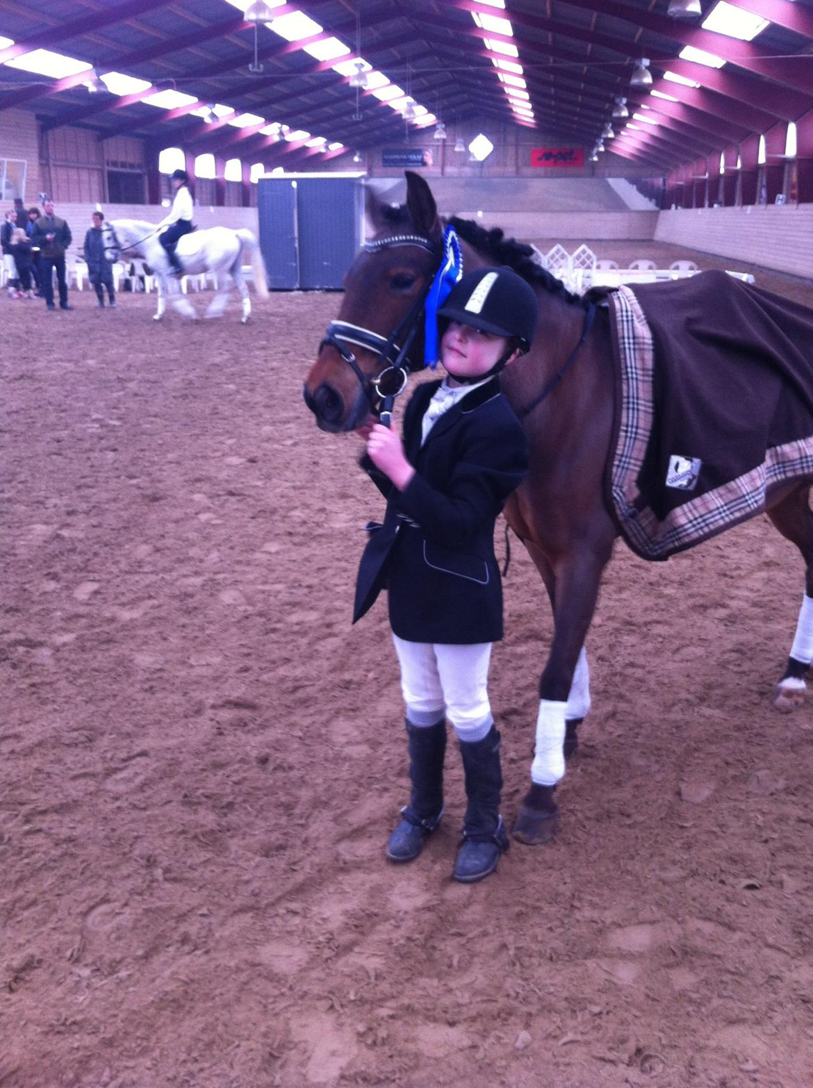 Svensk Sportspony  Ainée billede 16