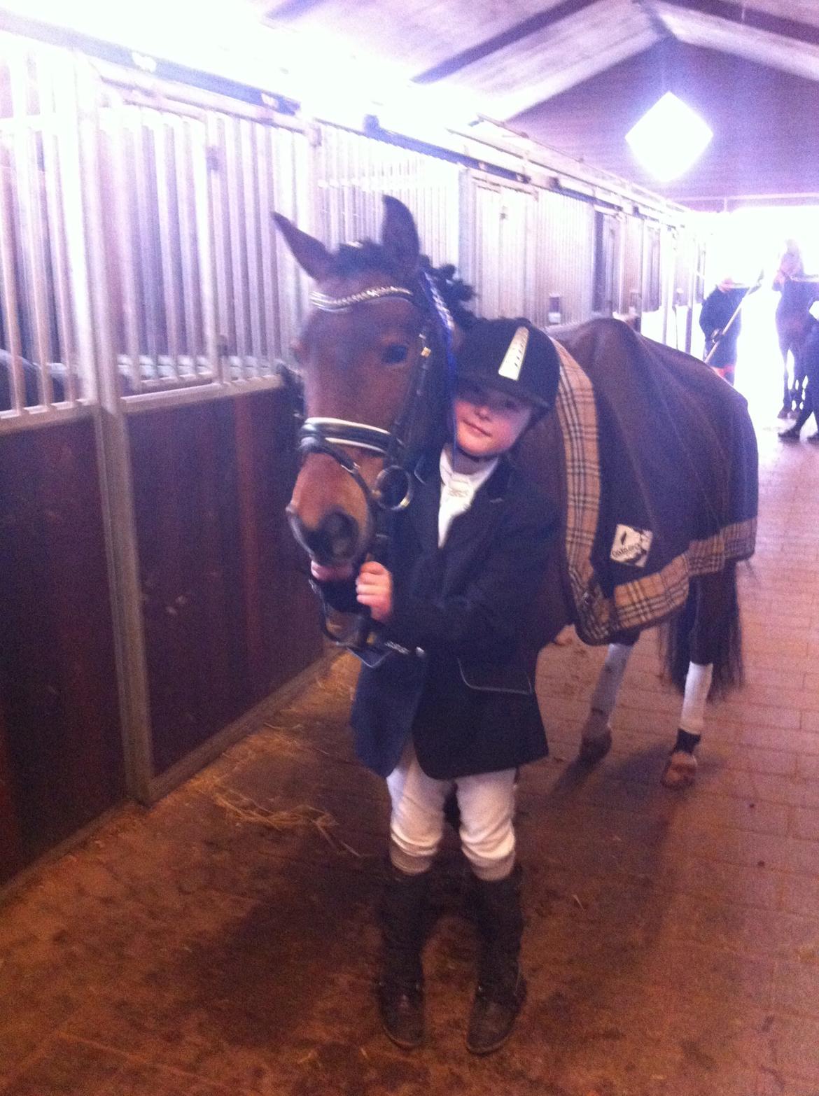 Svensk Sportspony  Ainée billede 17