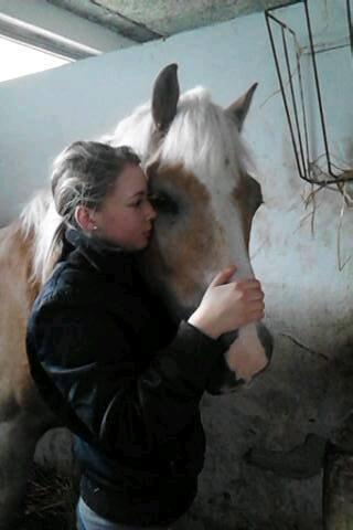 Tyroler Haflinger Angels Eyes - Mit et og alt <3 billede 9