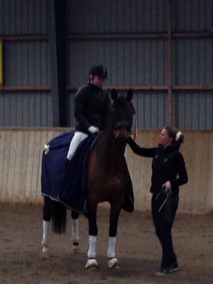 Anden særlig race Easy Go Sofus billede 19