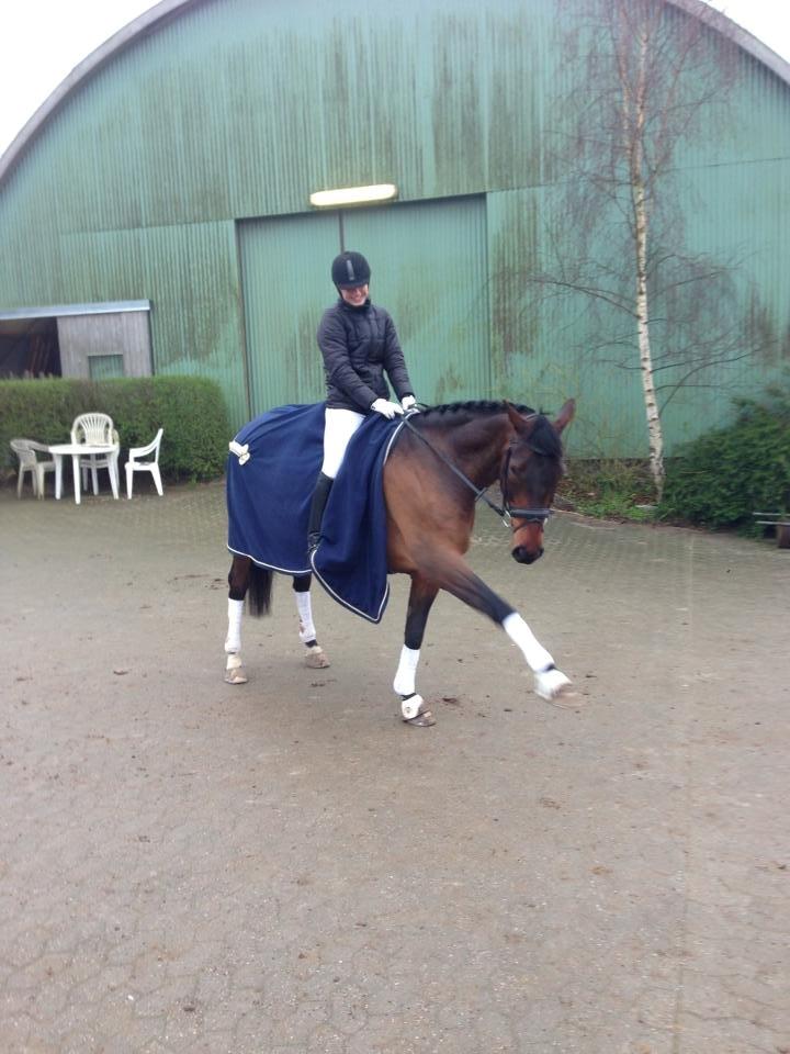 Anden særlig race Easy Go Sofus billede 7