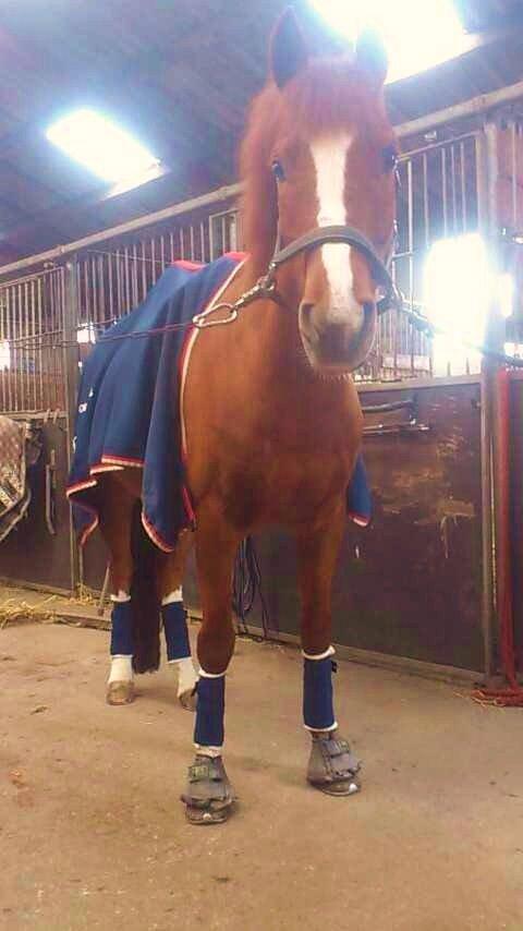 DSP Luanda billede 14