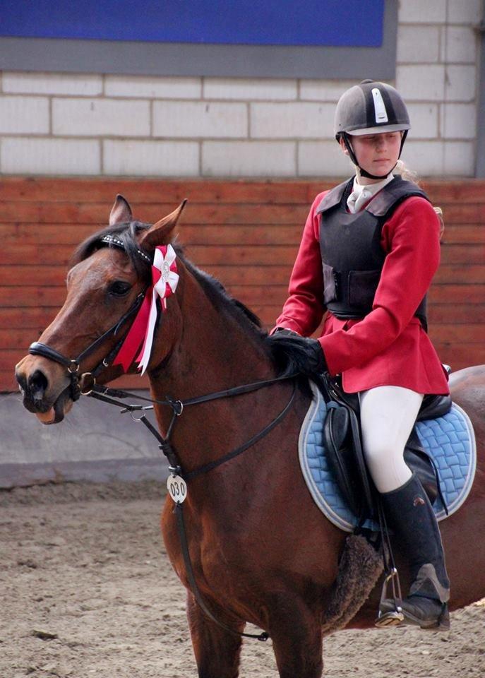 Hollandsk Sportspony Melanie's Lady  B-PONY - 1 Plads Gråsten Rideklub LB1*   *Taget Af Photo by Rebekka Christensen* billede 38