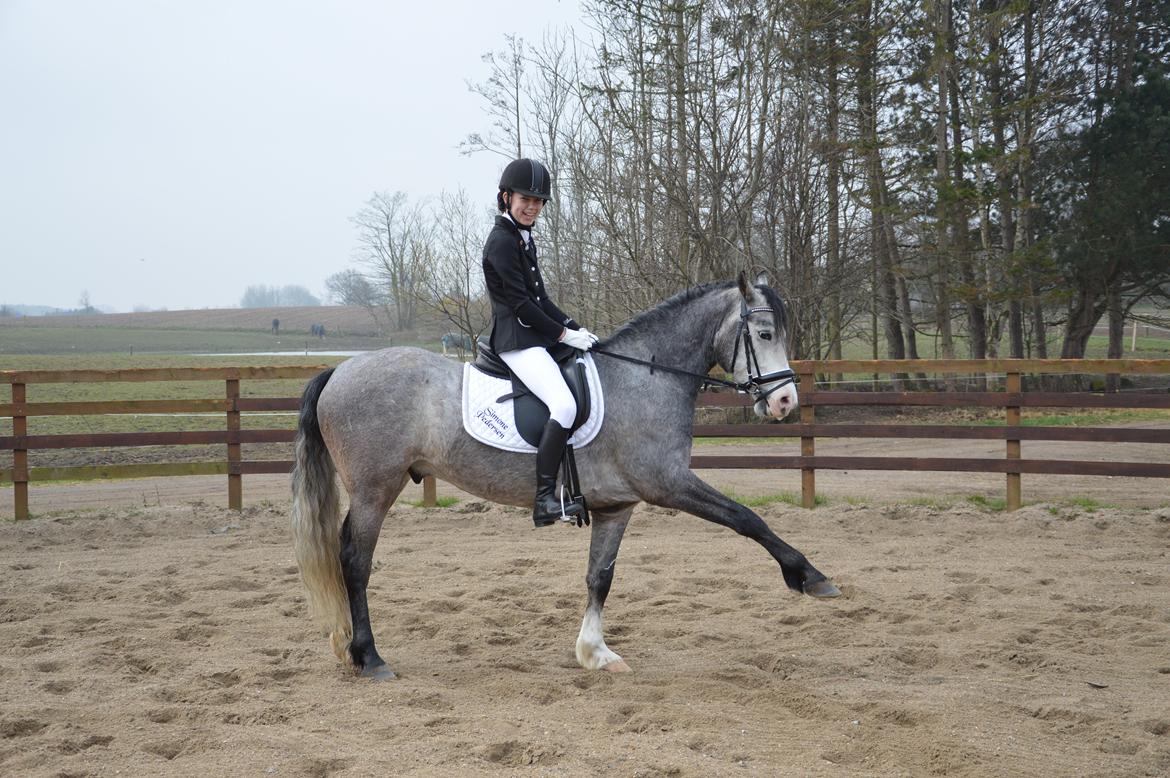 Anden særlig race Rolighedens Caruzo billede 14