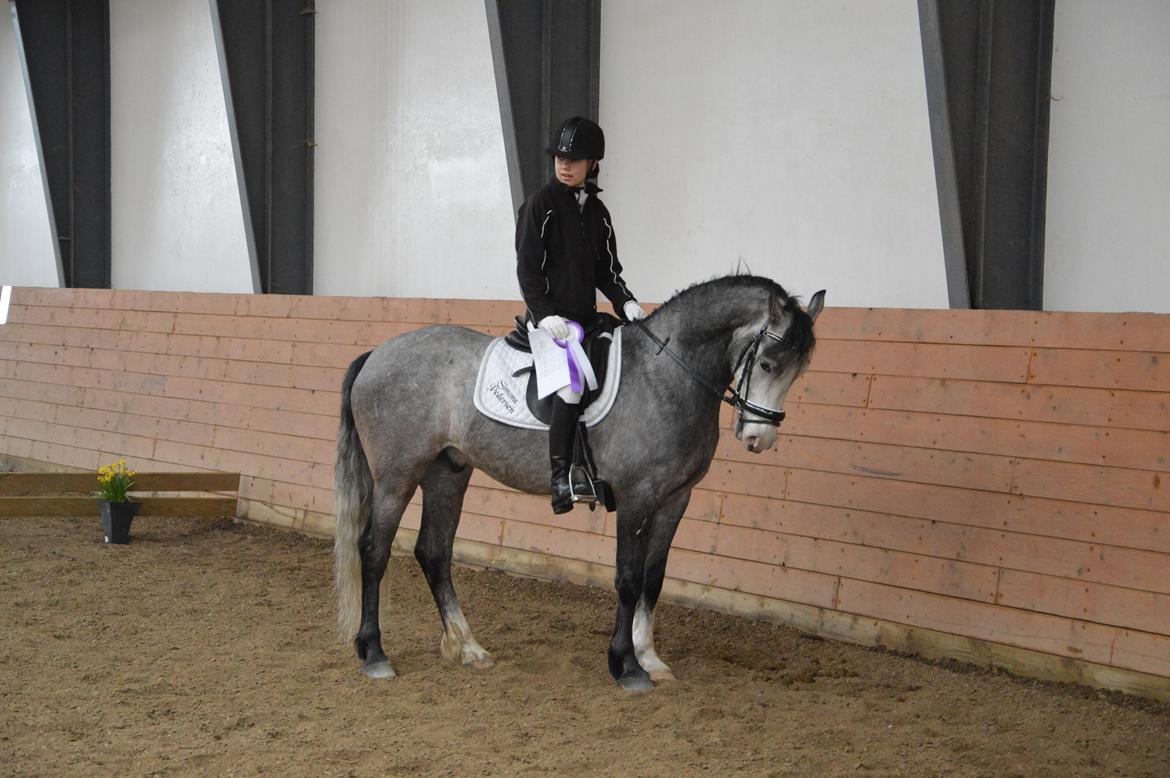 Anden særlig race Rolighedens Caruzo billede 16