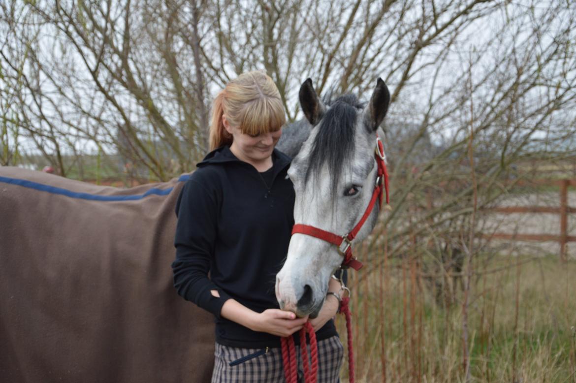 Anden særlig race Rolighedens Caruzo billede 20