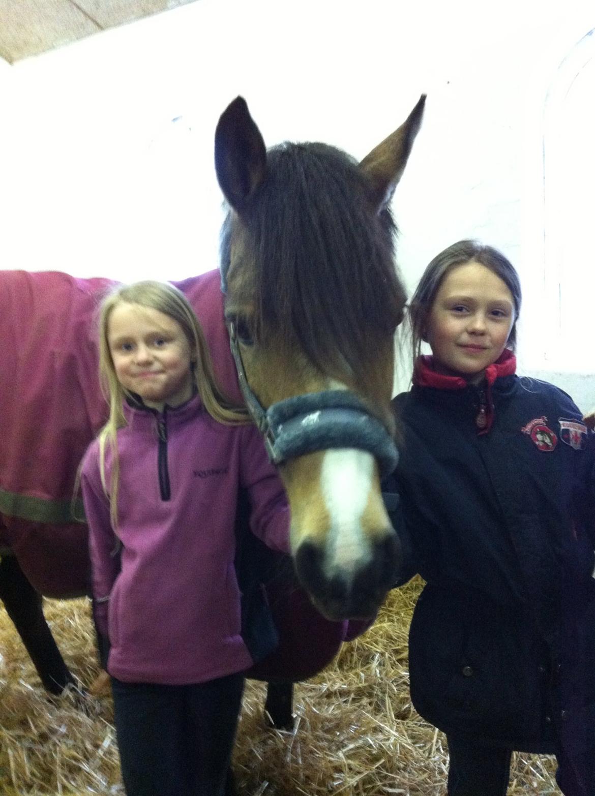 Anden særlig race Damgårds Maggie billede 3