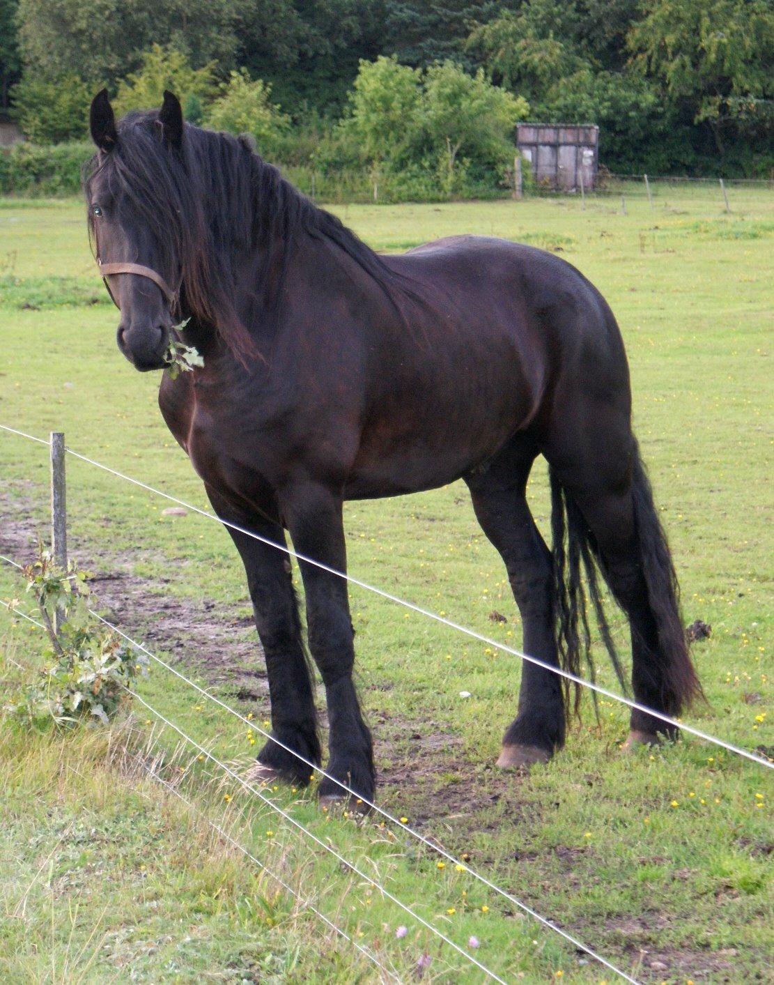 Frieser Kasper - Lidt lækker måske?  billede 2