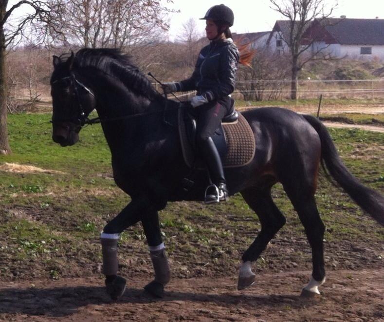 Oldenborg Højvangs Turbo billede 2