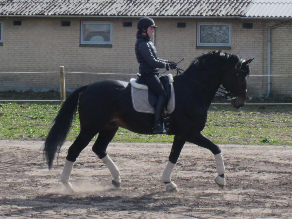 Oldenborg Højvangs Turbo billede 1