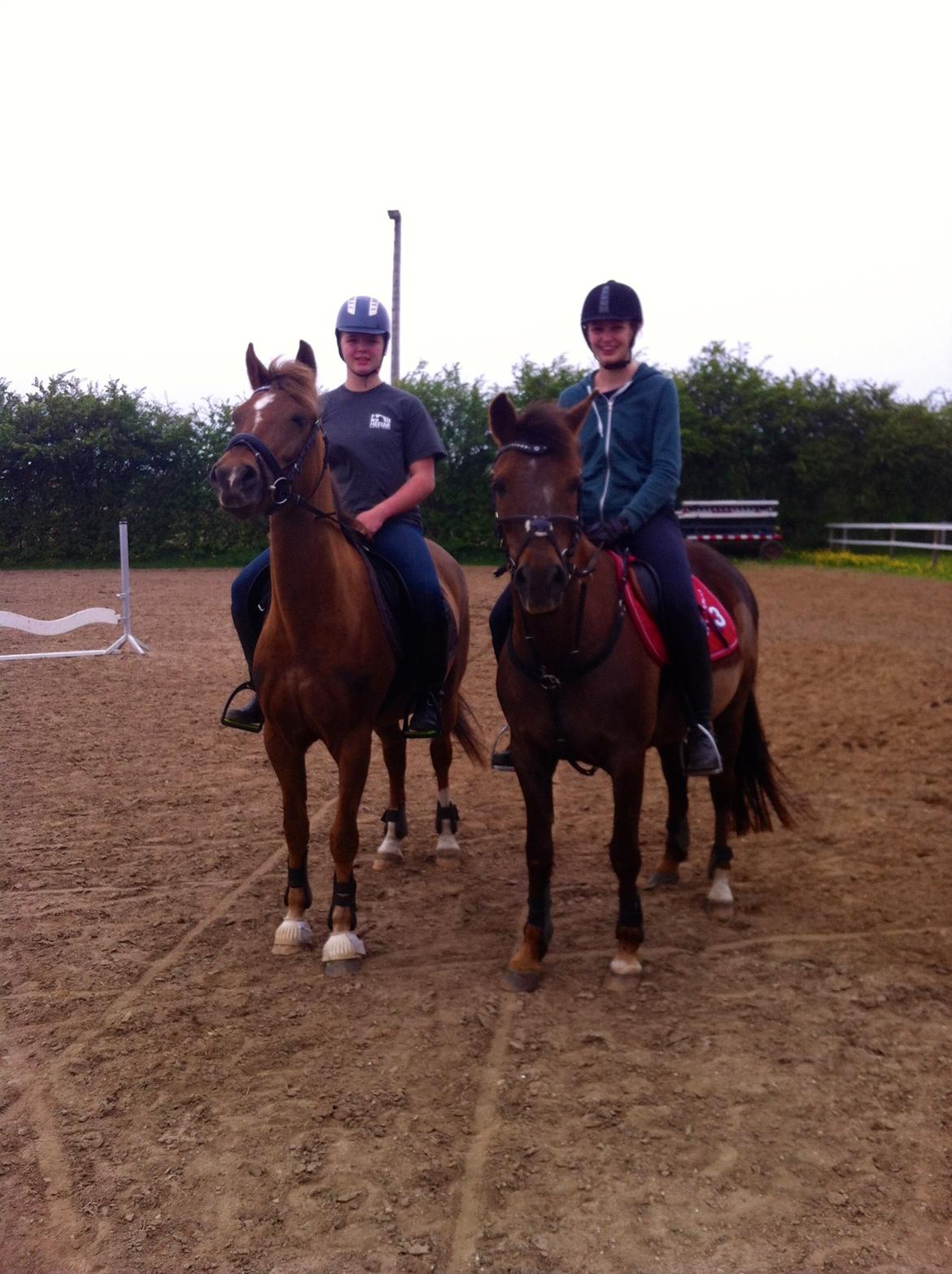 New Forest Freja - Første springtræning med Sisse og Daysi :)) billede 9