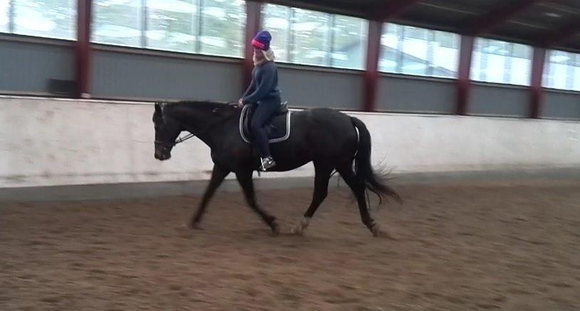 Dansk Varmblod Nygaards Michado - mig og micha der lige øver ryg-løft :)  billede 5