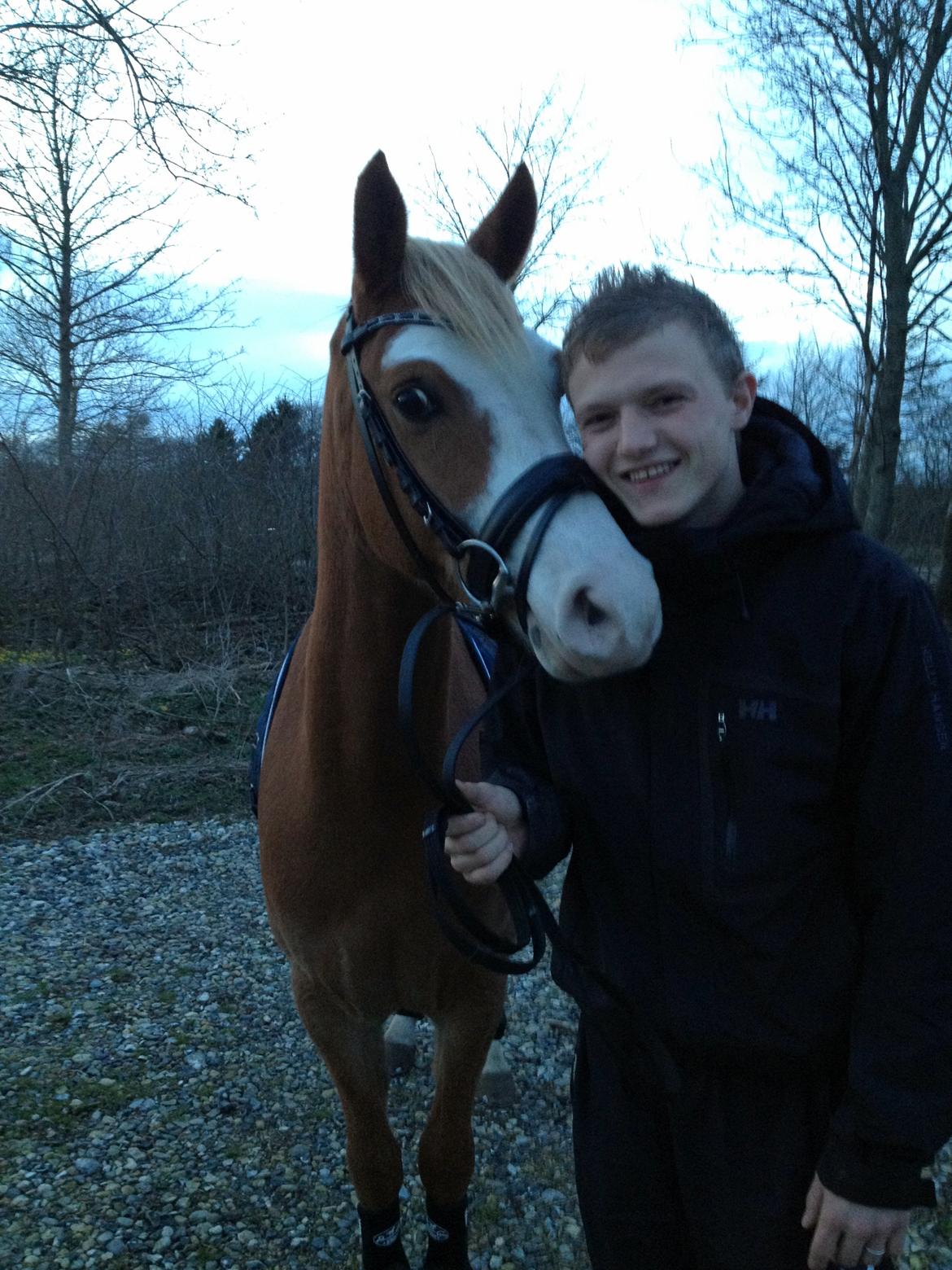 Welsh Partbred (Sec F) Stendyssen`s Sunbreaker - Sun og min kære mand :D  billede 23