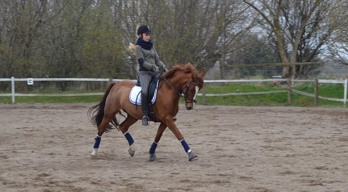 DSP Luanda billede 1