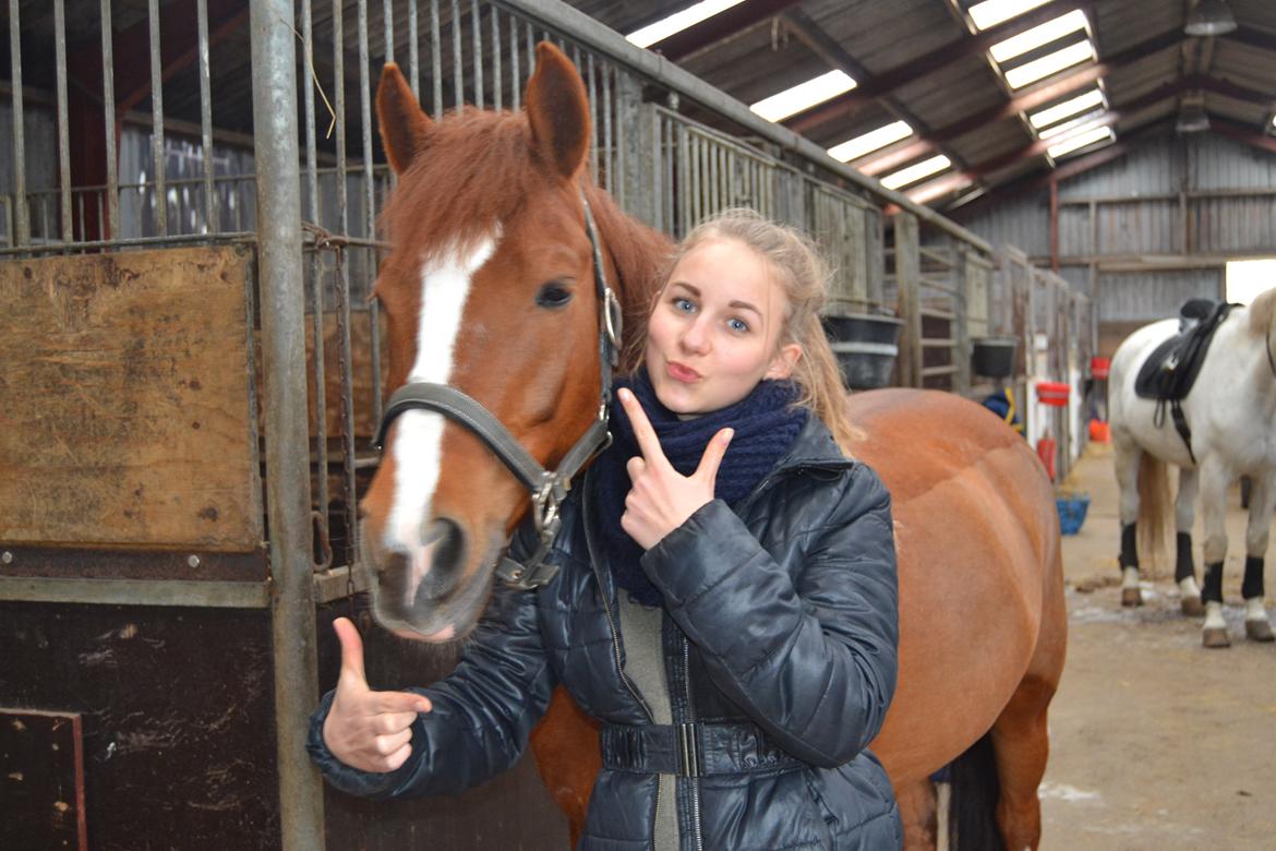 DSP Luanda billede 6