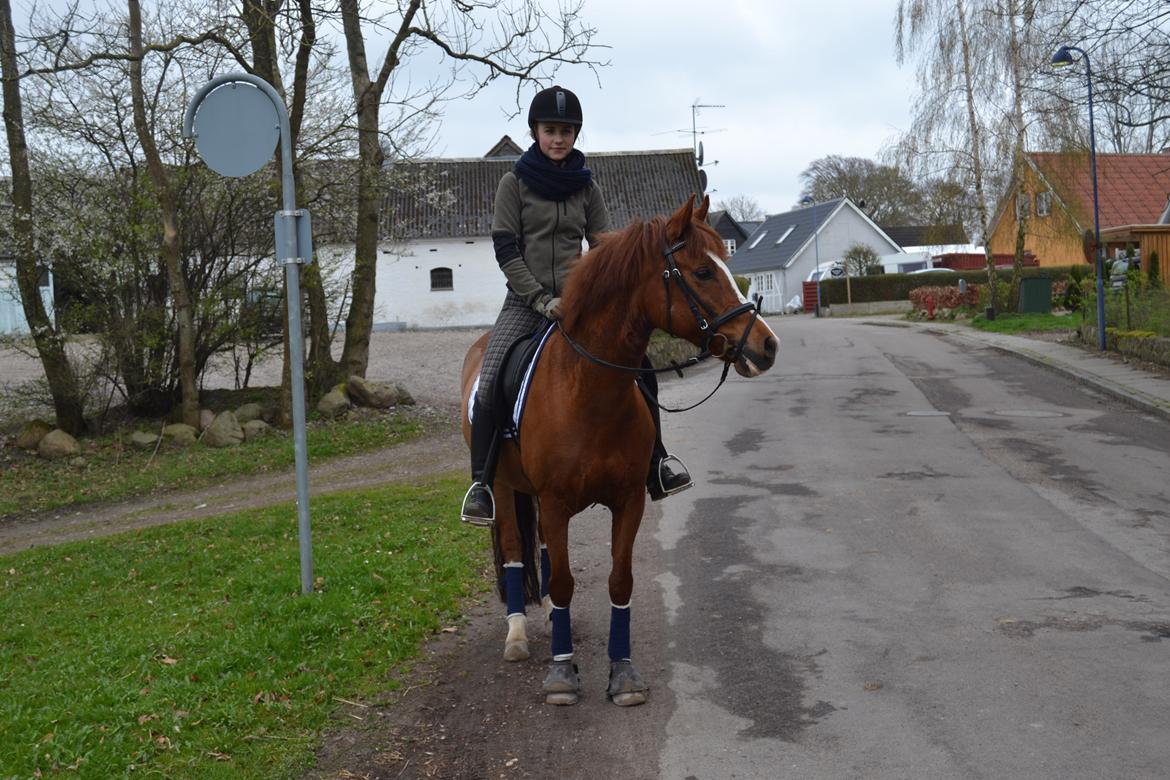 DSP Luanda billede 3