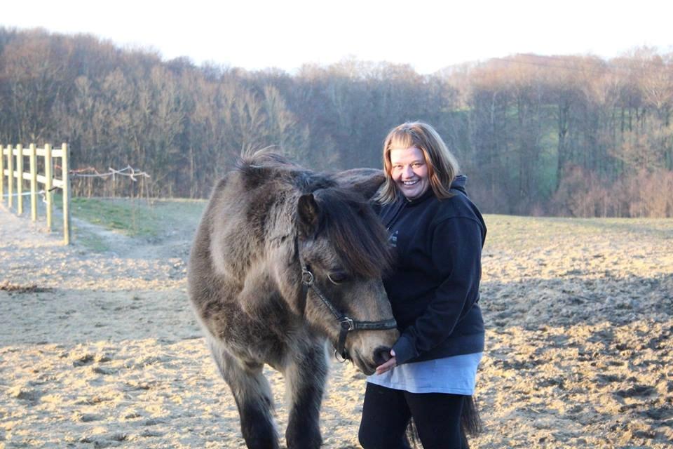 Anden særlig race Don Düval (valle) billede 2