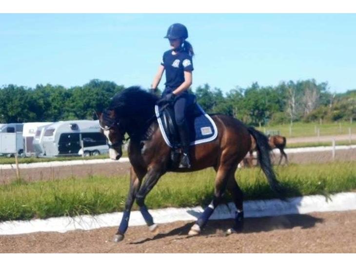 {{currentPhoto.altText}} billede {{currentPhoto.number}}