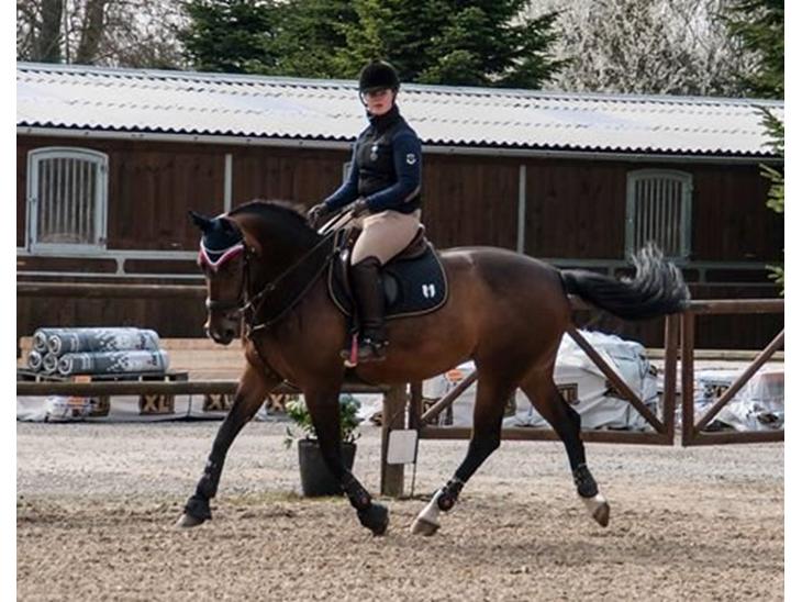 {{currentPhoto.altText}} billede {{currentPhoto.number}}