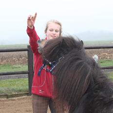 Knabstrupper Gizmo - lille pot - My soulmate <33
