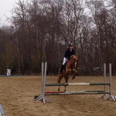 DSP Lintrupgaard Cavito