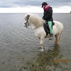 Islænder Áning Fra Fjalli.
