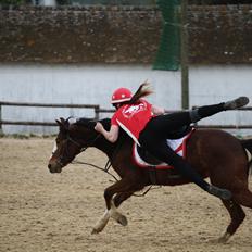 Welsh Pony (sec B) Tosca De Tassine