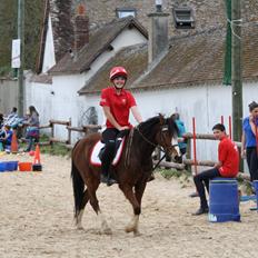 Welsh Pony (sec B) Tosca De Tassine