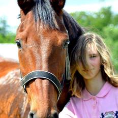 Anden særlig race Phoenix