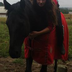 Pinto Mindes Sheriff #Bedste ven#