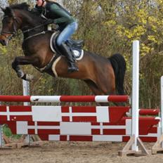 DSP Schrøter's La Couer