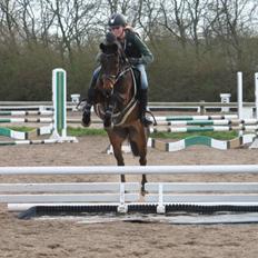 DSP Schrøter's La Couer