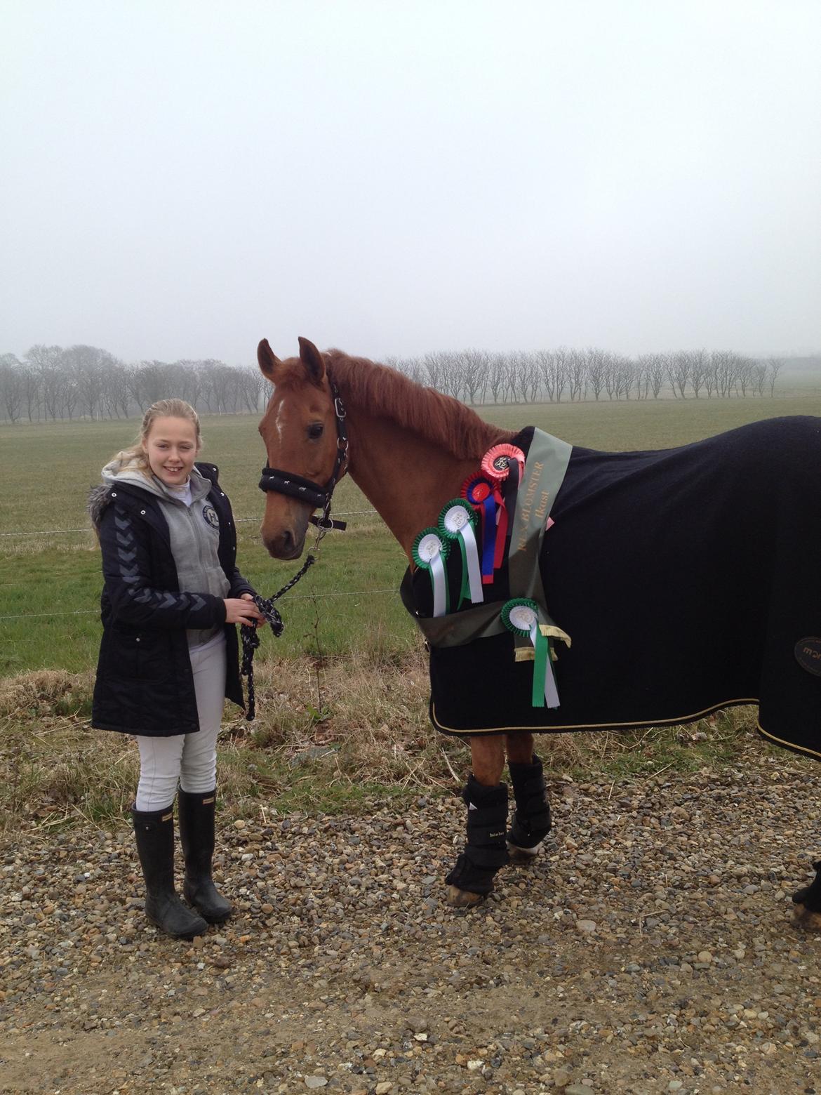 New Forest Reigershoeve Debbie - 29-30. marts 2014, stævne i Ikast, 3*3. pladser, 2* nul-runde  billede 23