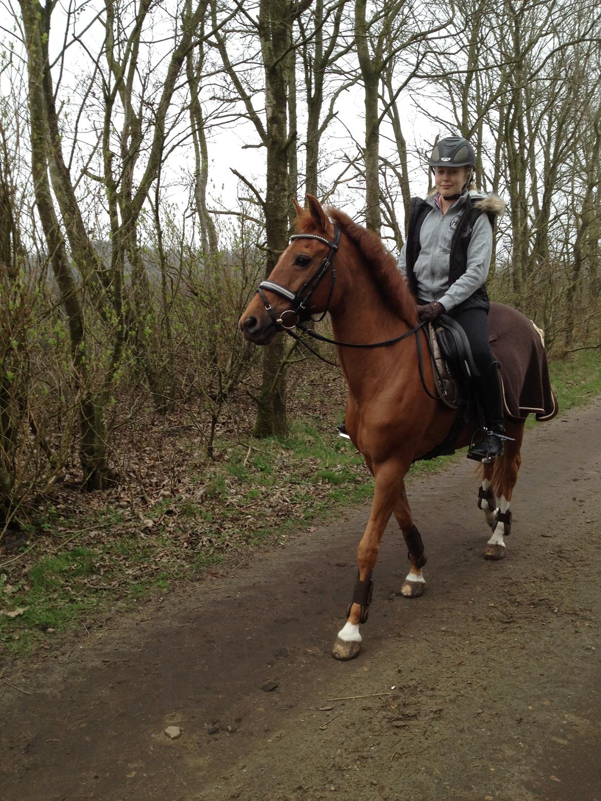 New Forest Reigershoeve Debbie - 6. april 2014, Første gang i skoven, alene(sammen med min mor på cykel),  gik super godt, total cool pony billede 25