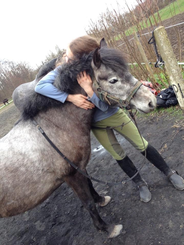 Anden særlig race Malina - Sidste dag jeg ser hende nogen sinde..<3 Foto taget af Thora D. 07-04-2014 billede 13