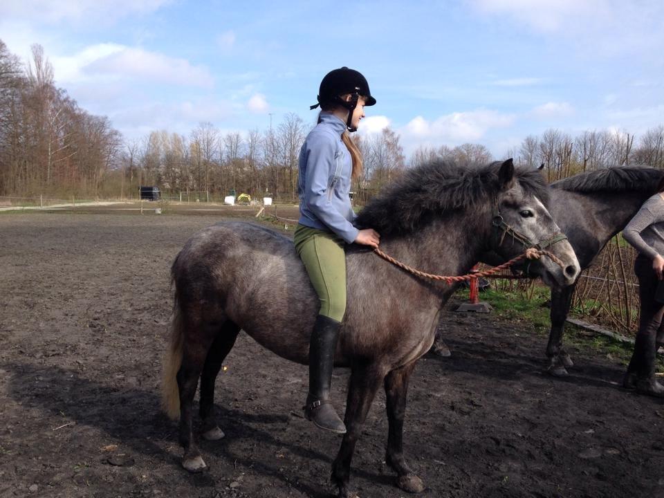 Anden særlig race Malina - Sidste dag jeg ser hende nogen sinde..<3 Foto taget af Thora D. 07-04-2014 billede 10