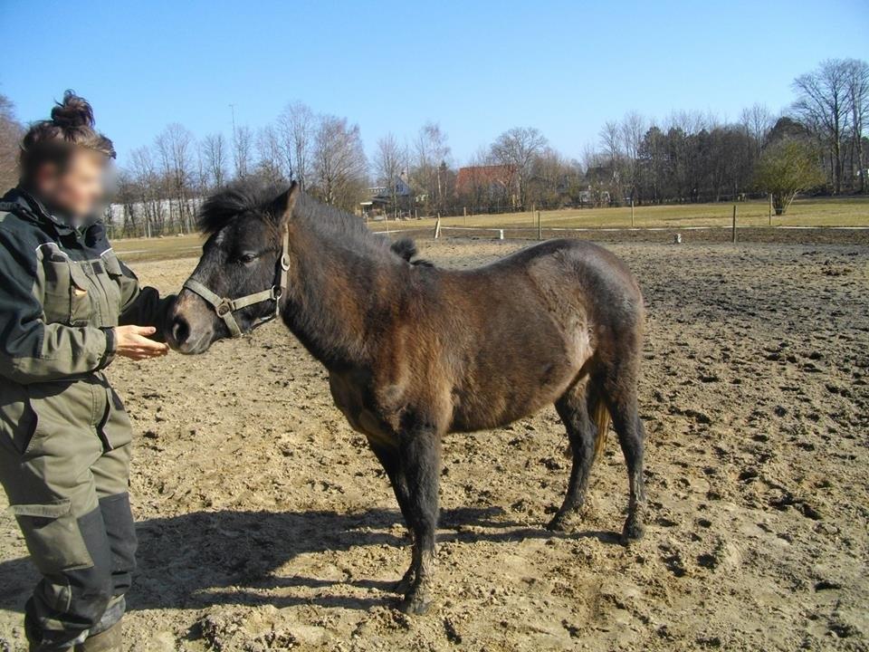 Anden særlig race Malina billede 17