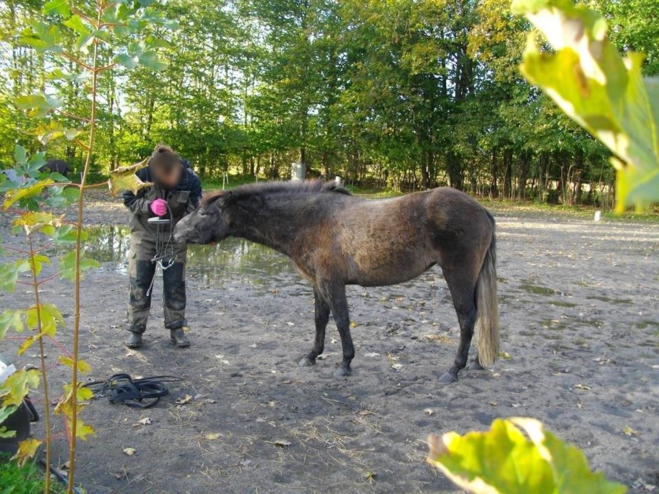 Anden særlig race Malina - Dejlige Malina <3 billede 12