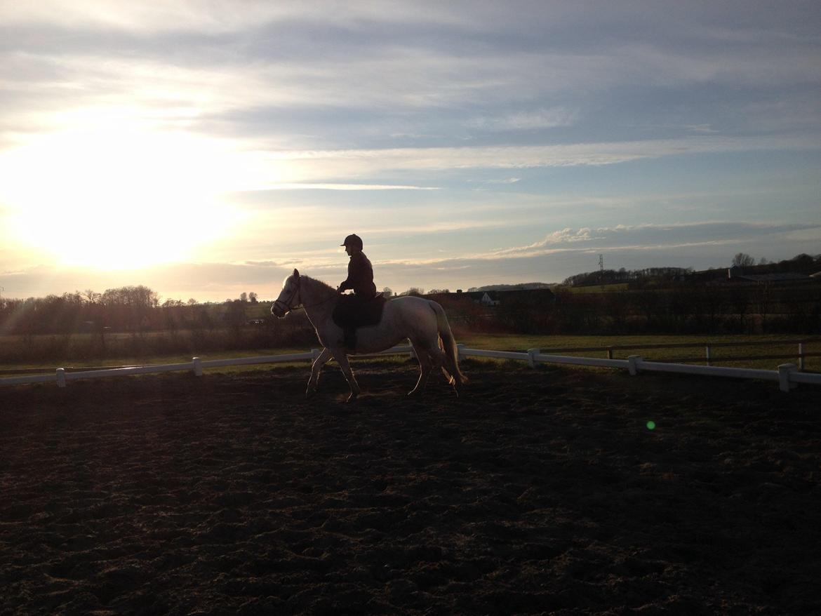 Connemara Frostegård's Honeymoon - Min lille solstråle <3 <3 billede 7