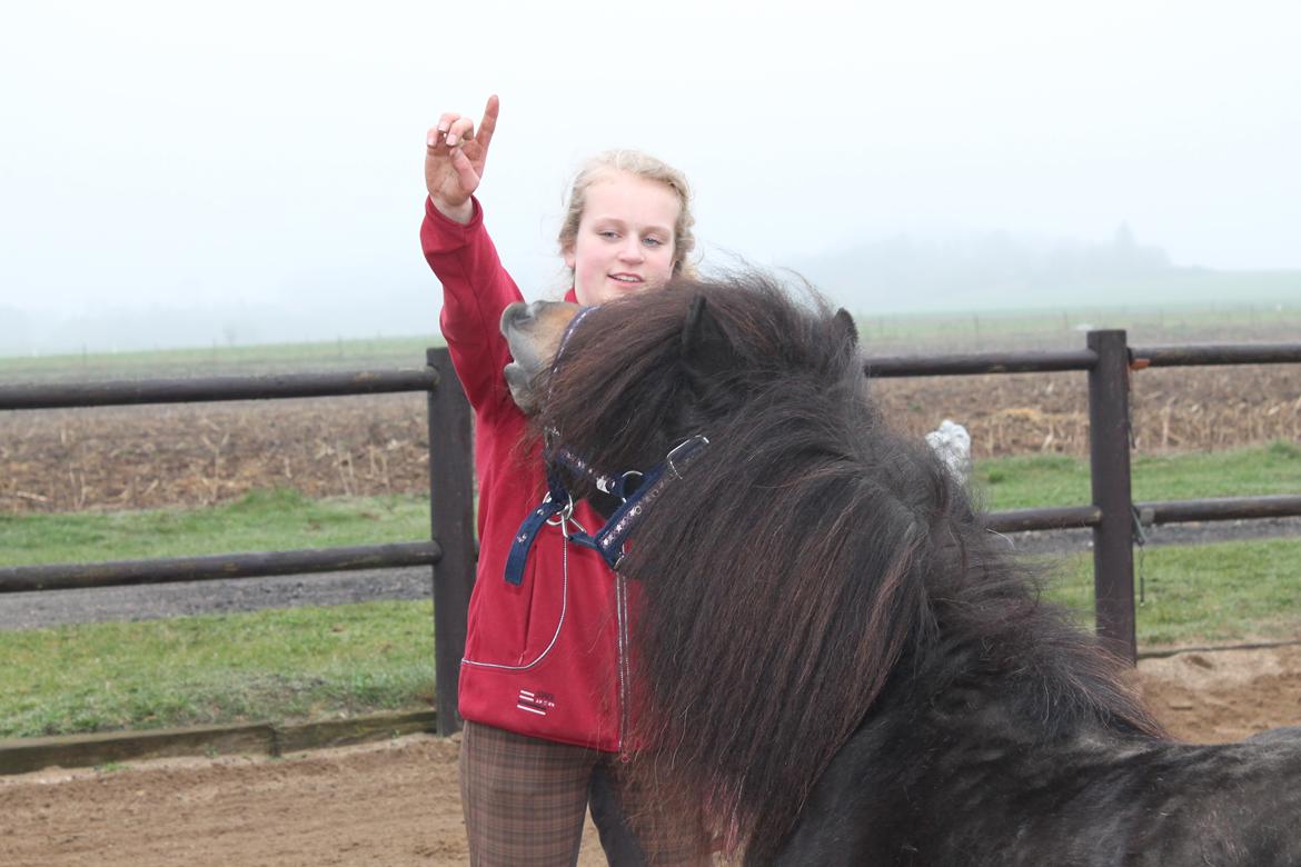 Knabstrupper Gizmo - lille pot - My soulmate <33 - Smil to da world, and da world tror du på lykkepiller :* billede 3