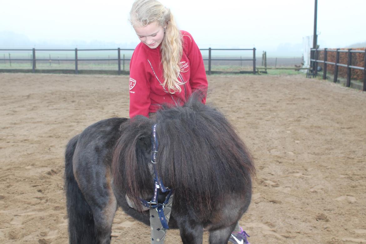 Knabstrupper Gizmo - lille pot - My soulmate <33 billede 7