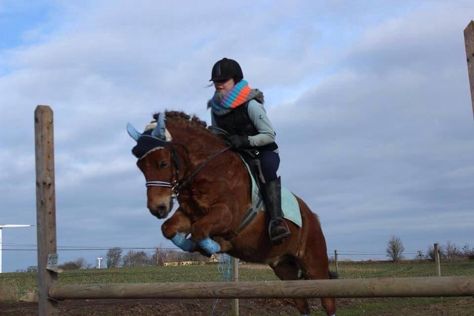 Anden særlig race Lillevej's Lucas<3 billede 10