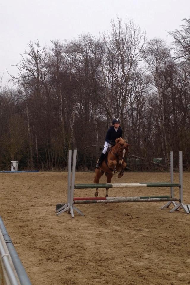 DSP Lintrupgaard Cavito - Stævne på KDR d. 5/5-14  billede 2