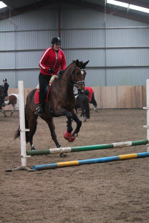 Dansk Varmblod Åkær Charlot (tilbage leveret) billede 17