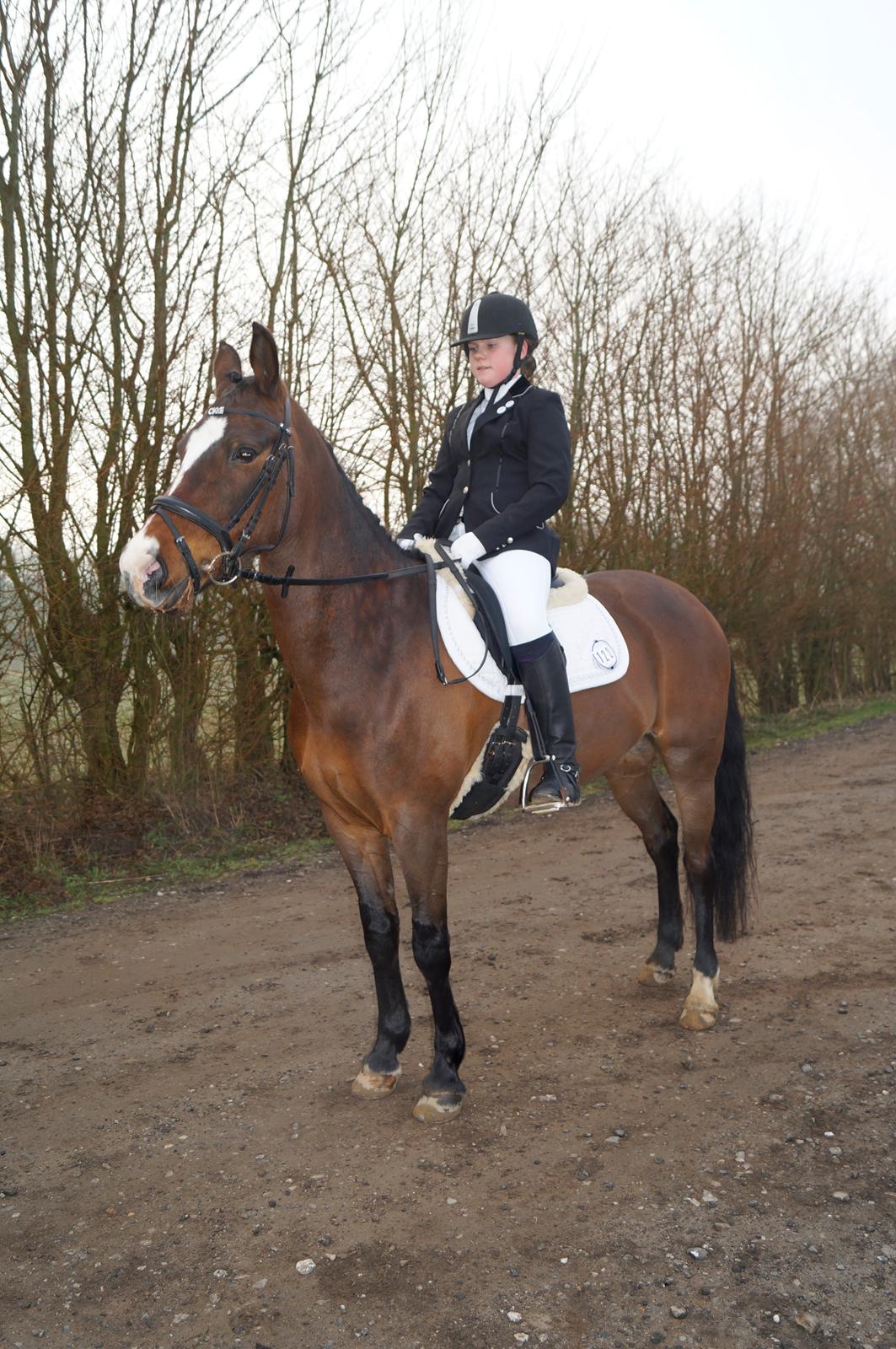 New Forest Cirkeline billede 11