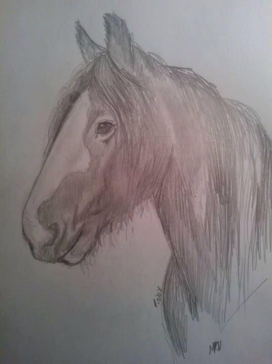 Tinker Toby (den bedste) - En super flot tegning af Toby som hans nuværende part har tegnet til mig! Tusinde tak Marie <3 billede 18